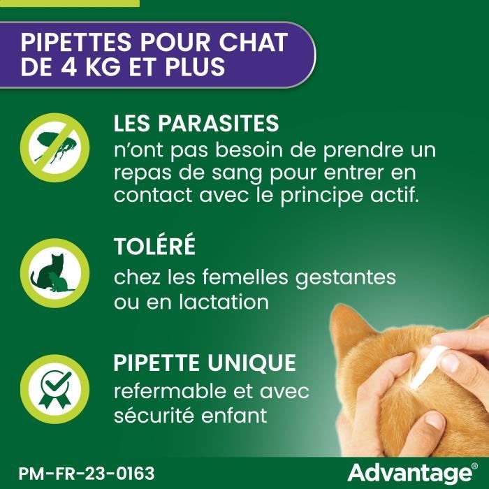 Advantage antipuce rabbit chat solution +4kg 6 pipettes