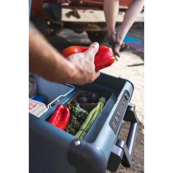 Portable electric cooler - DOMETIC - CFX2 37 - Compression - 37 liters - 12 V - 24 V - 230 V - from +20° to -22°C - Blue