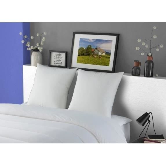 Dodo lot of 2 pillows Meribel Plumettes 60x60cm