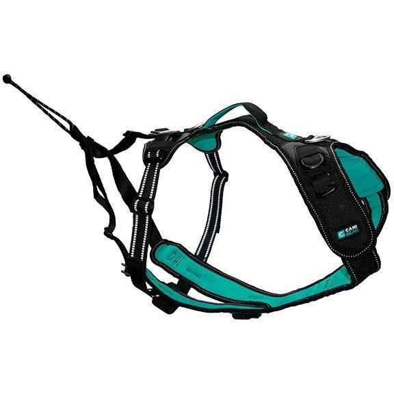Dog harness - SYMBIOZ - XL - Black / Blue