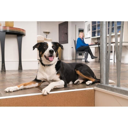 Additional collar for Educational Support Systems 300-600-900 m