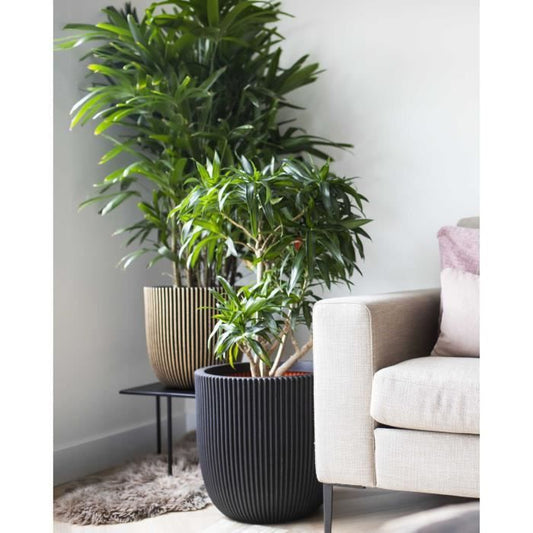 Capi Jardiniere Groove 43x41 cm black and gold 445487