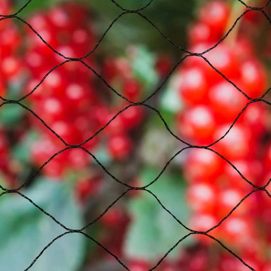 Anti-bird net NATURE Primo 10 x 10 m Black