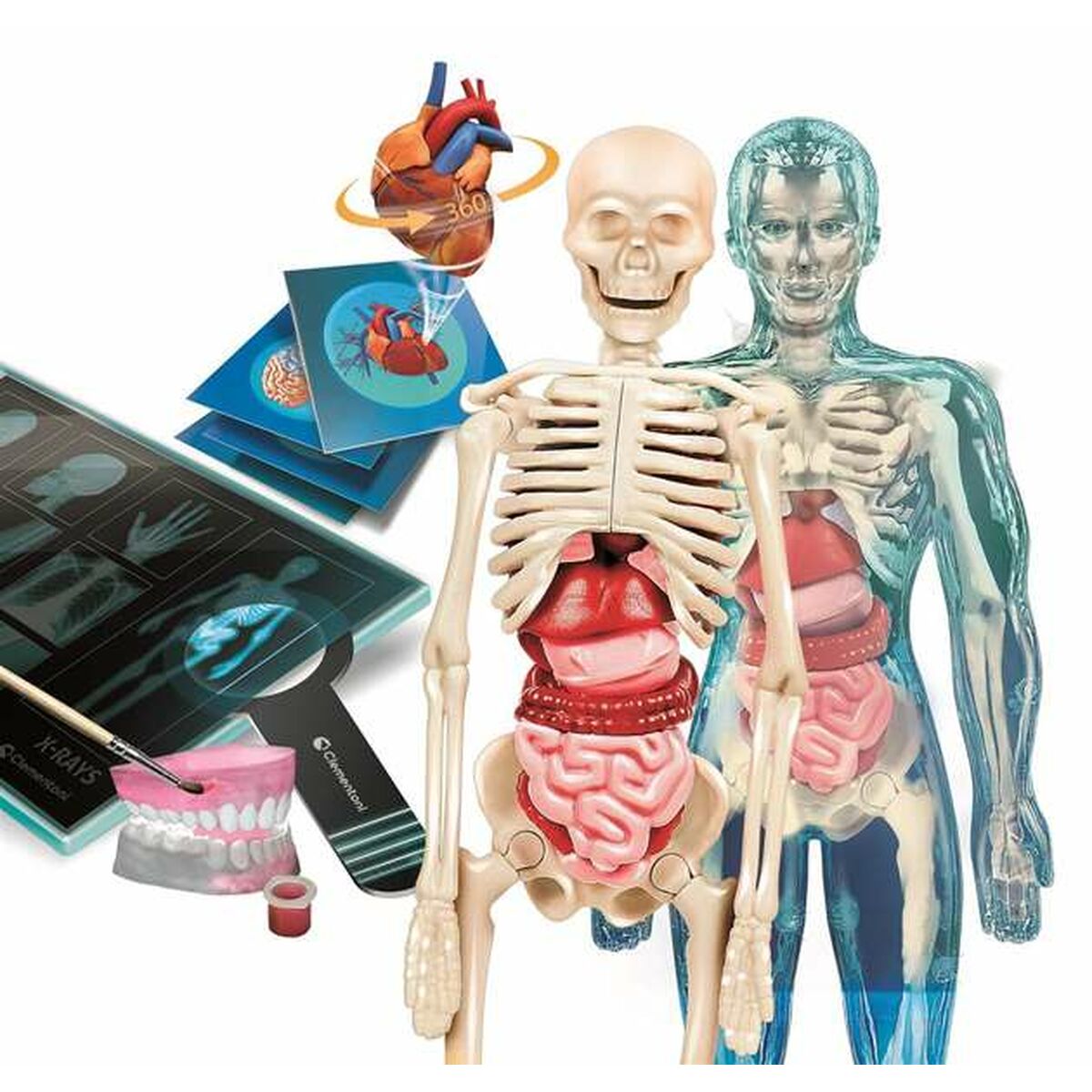 V5H59A1C15E5D79B2D356FF4FD0582244EFR5691434P2