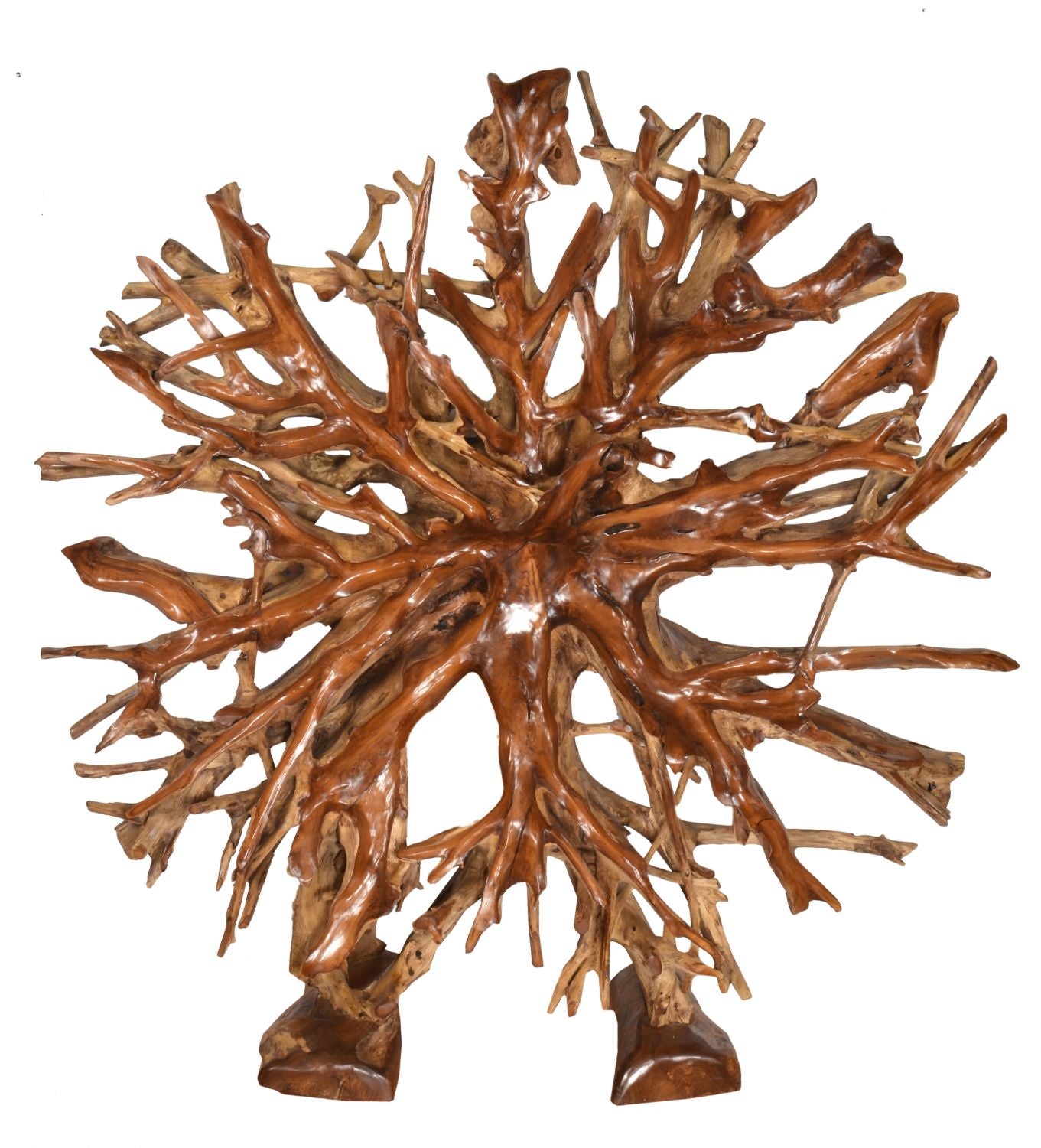 Teak Root Architectural Piece with Stand  B