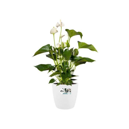 ELHO Brussels Wheels 47 round flower pot - White - Ø 47 x H 44 cm - interior - 100% recycled