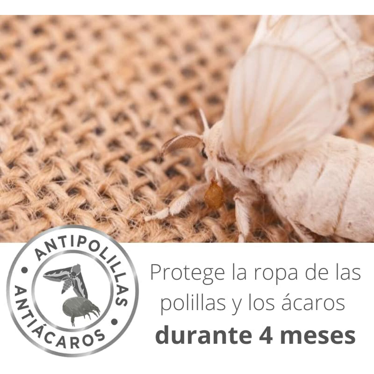 V5HEA2FB8B2689D3989EE039473E1E7F4F9R5816121P7