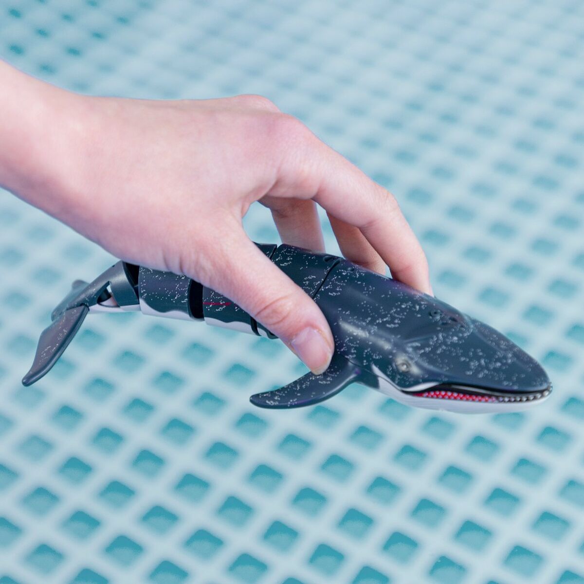 V5H8D82A3BBEE67563A6CAE1172773759C4R5423226P6