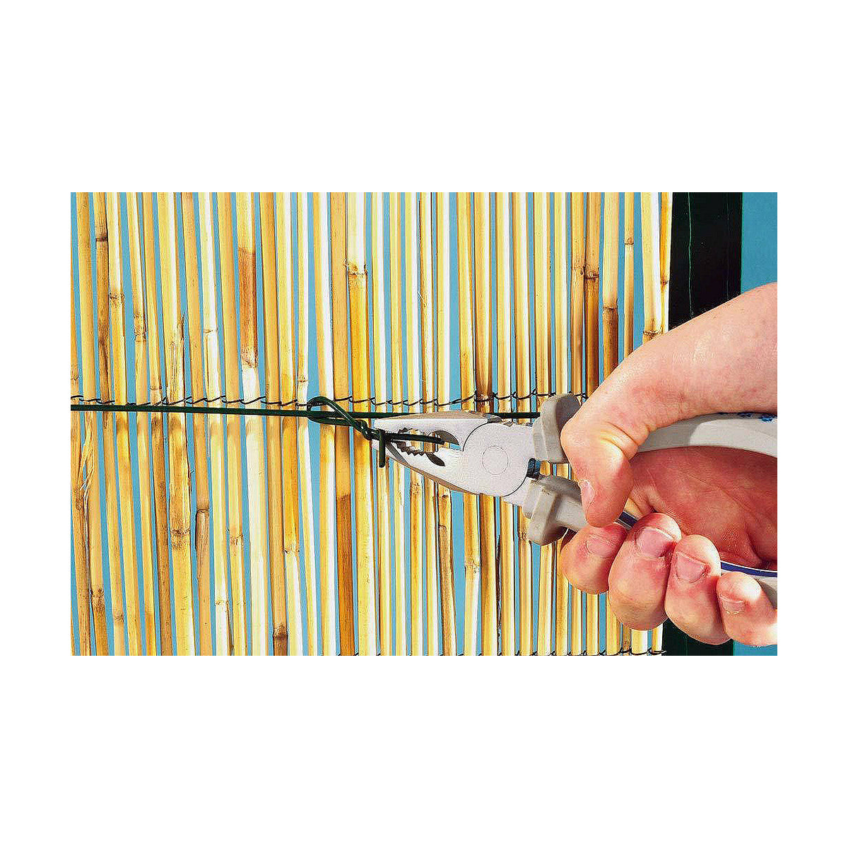 V11H81C7EEBE157C97B1B2A1E21B25260AEDR5373089P4