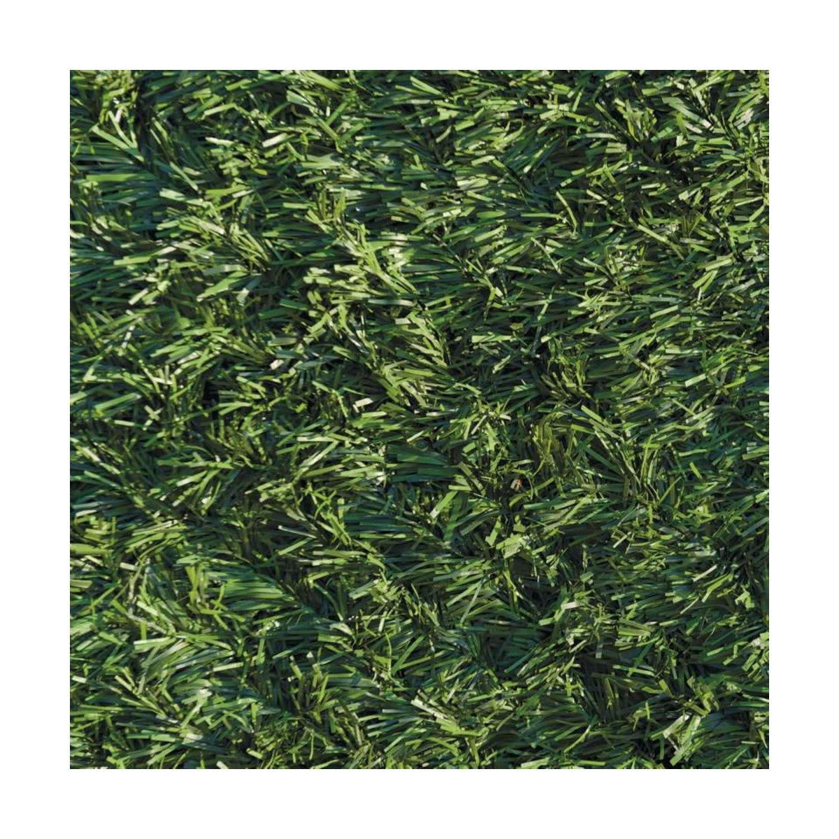 V11HCFD9EEBBFDF9FE3071358E96C7926E5DR3446439P3