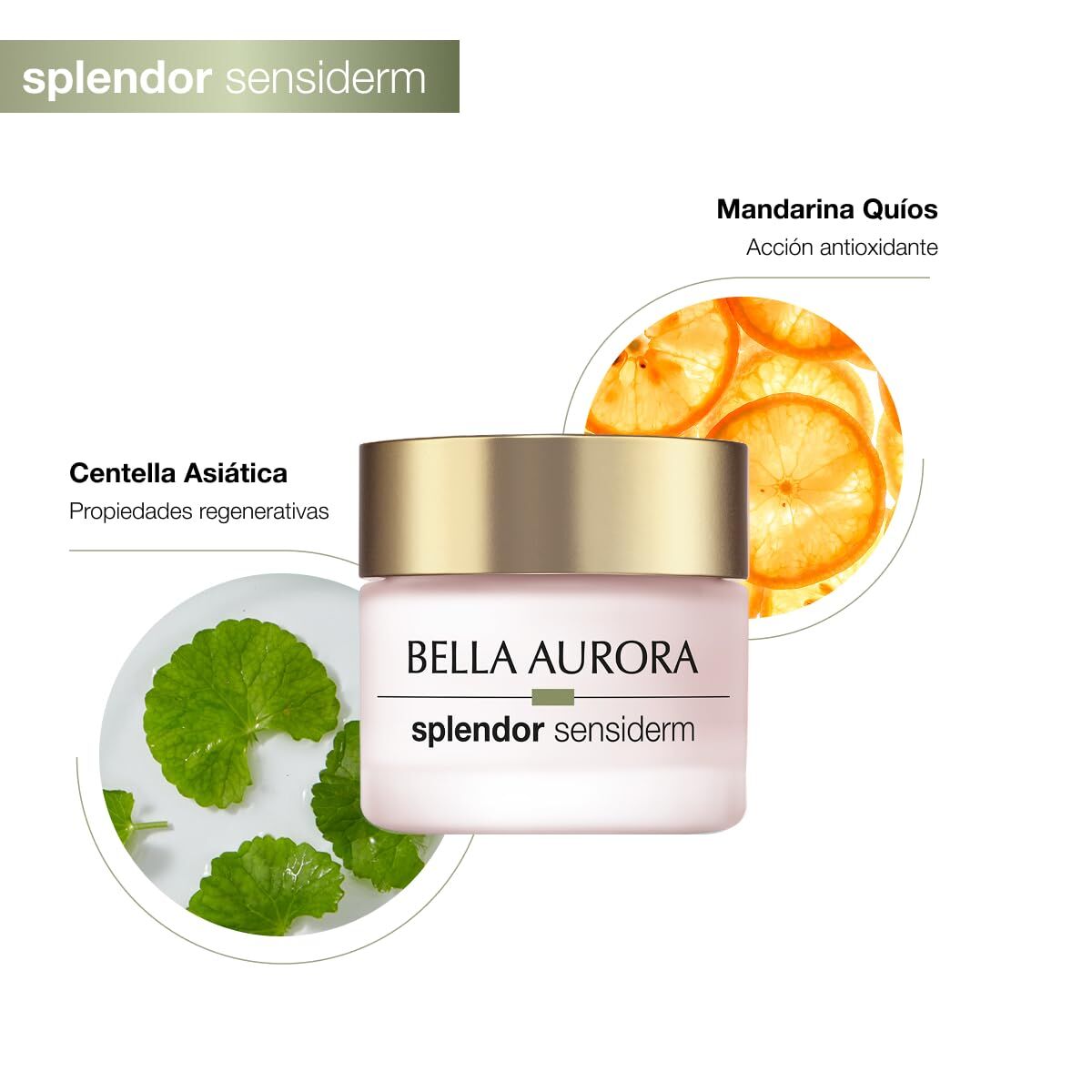 V5H7F0ECE55A8A1BC976442BF104AD26CBCR7725696P3