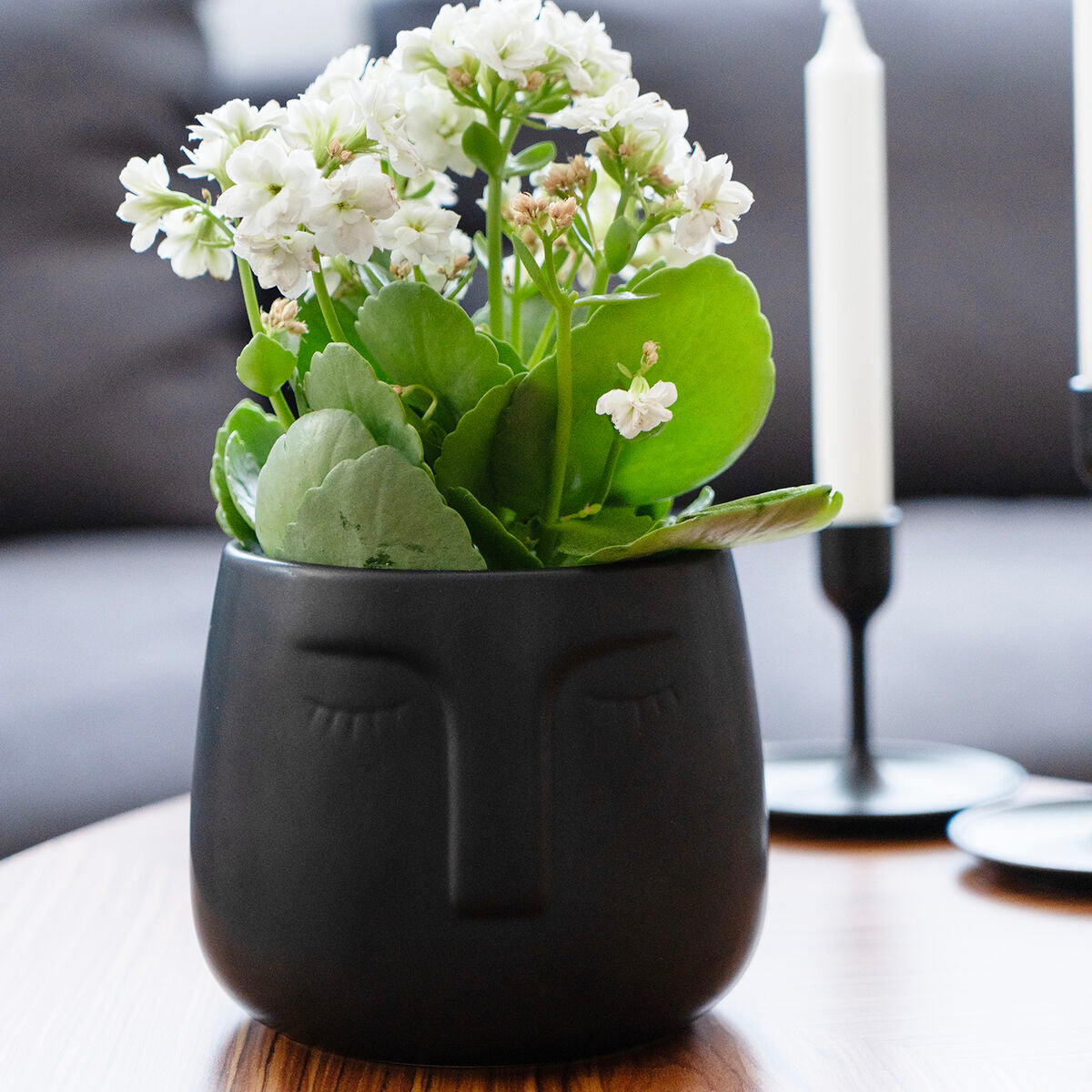 V10H7CA7243AFBFAC5C55389370C6E0377DBR5340575P2