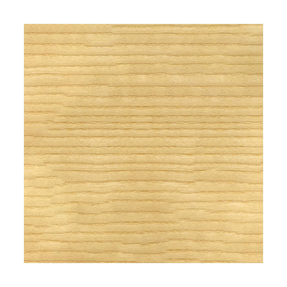 V8H48B2FC584456E98DD5C5C8C7699B4E13R3452011P3