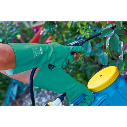 V7H1B96D593F67B0CD580F8C760D9555FF6R4961754P2