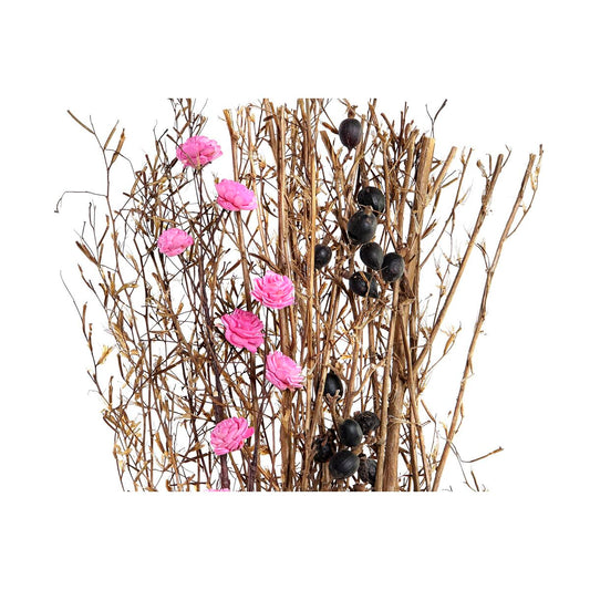 V10H0AC0B66DC519D4B5ABC9A981311452CDR6375401P2