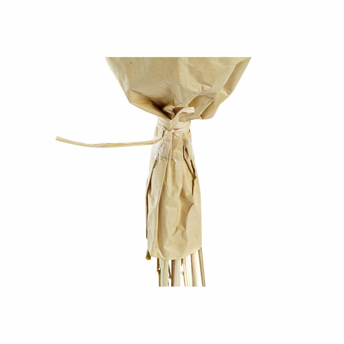 V7H6ABE32FB348F775A12AAFA41A022646BR5661419P4