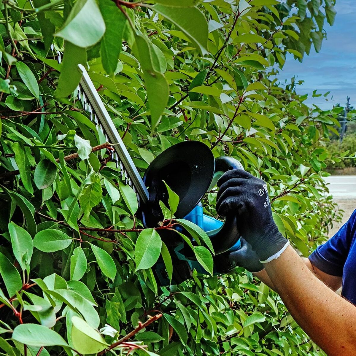 V7HA6B134102B21FFC69D8CB57FCB36F07AR5157146P7