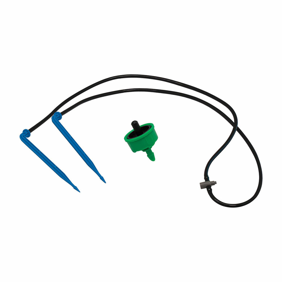 V5H959BF278D41D3017BB4AB906252345CCR5566261P1