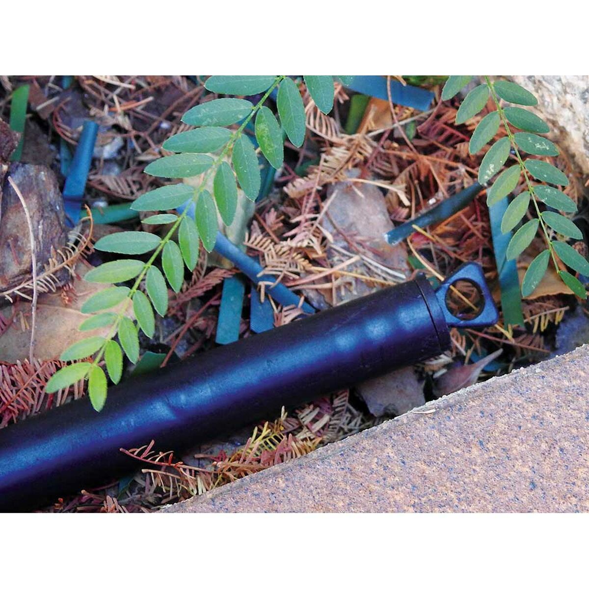 V6H6FB782C3D2C5A6C176CBA0E98C4CB41ER4463198P3