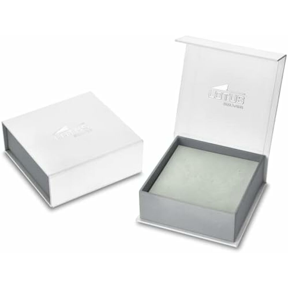 V4HC1B99E64C43D1C619EEBB02F426FC028R4601281P2