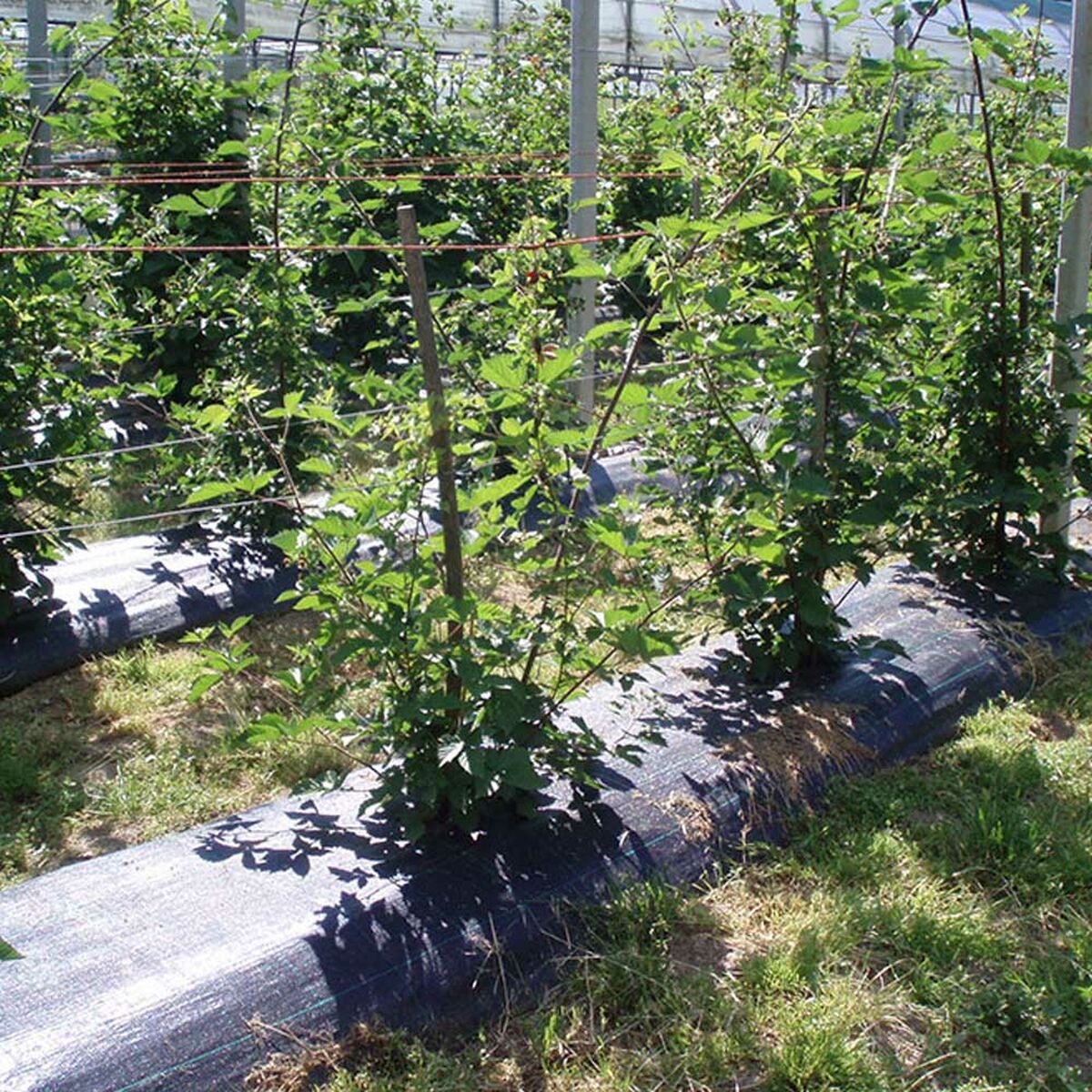 V3HC72F8237C5CB7827E4C9B946FBFE2820R5820686P2