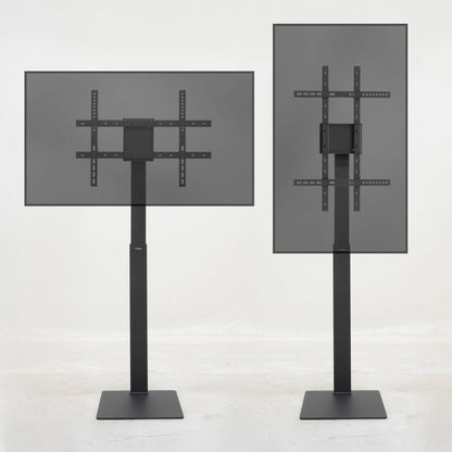 V4H248D3B736AC76A538B20B7671803DD49R6998255P3