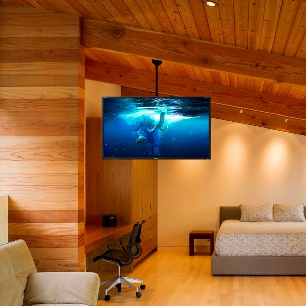 V4HD66696881A77798D7A1635E01EAEC5D4R7361903P4