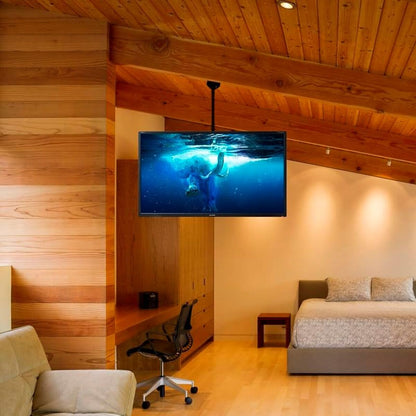 V4HD66696881A77798D7A1635E01EAEC5D4R7361903P4