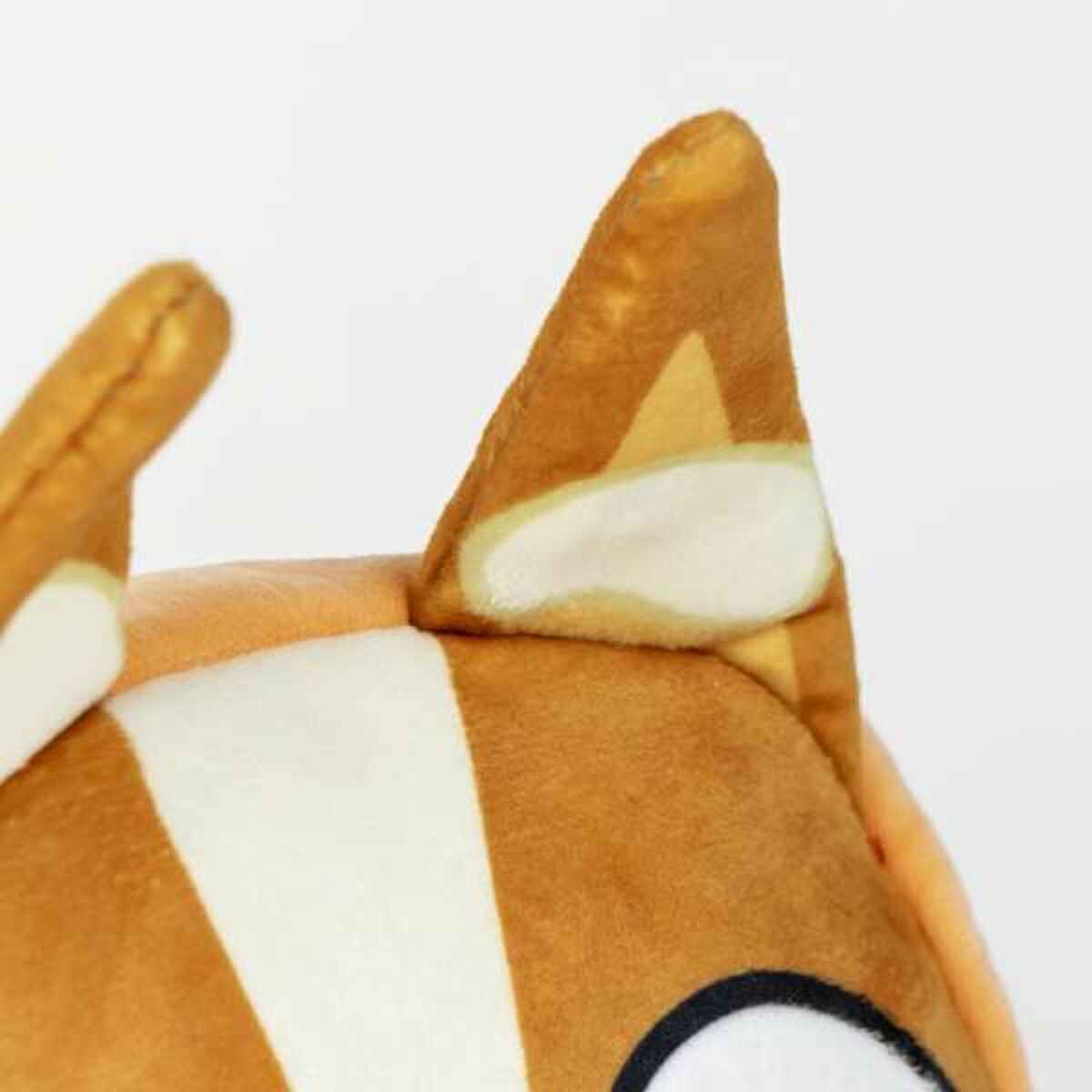 V10HB444A1FA2455B51DA8D561C486461CADR7151631P2