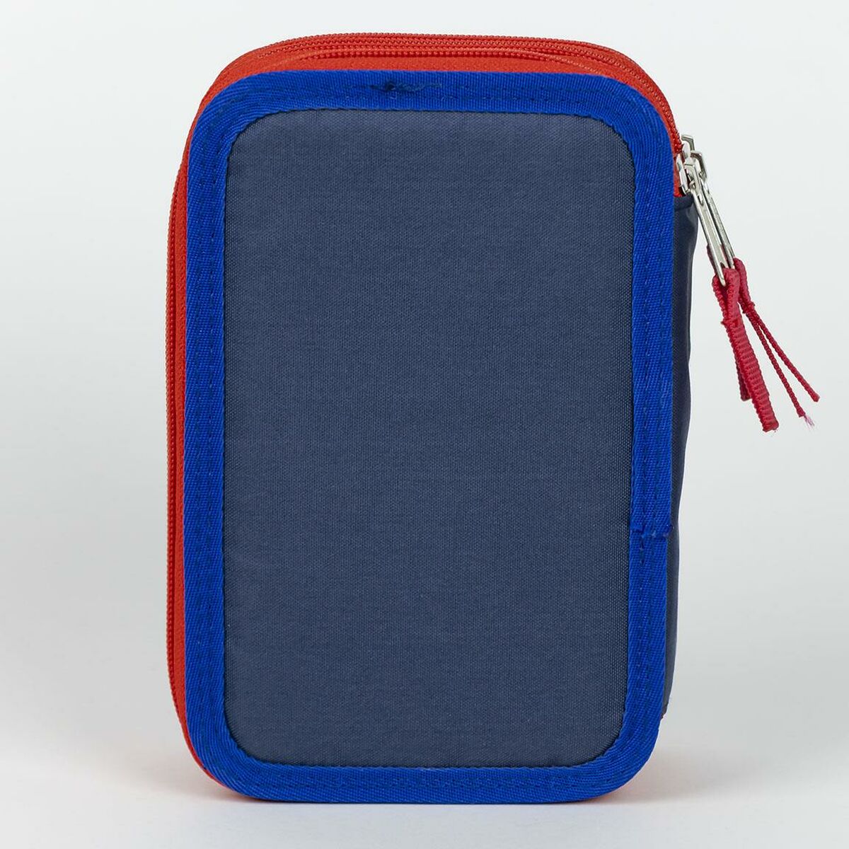 V4H1C763355D00DA11D19F899D55DDE1302R4703384P5