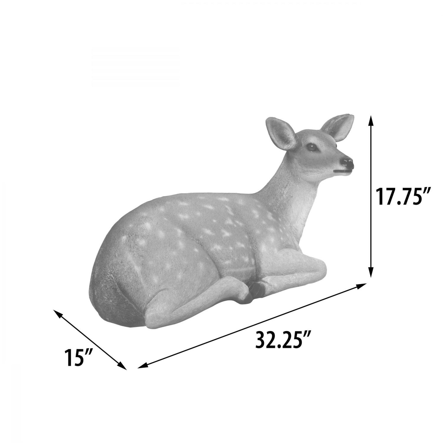 Fallow Deer Fawn Lying Down