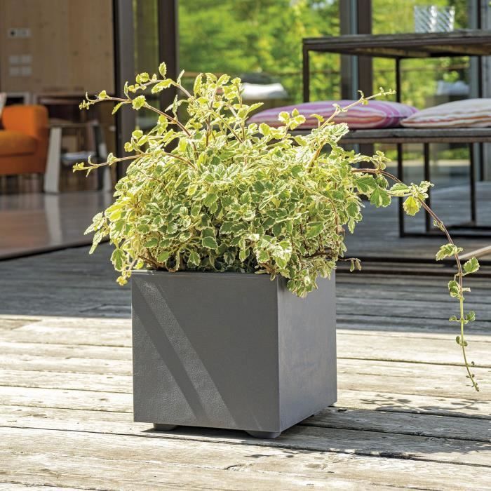 Cube Flower Pot - DEROMA - Millennium R - Anthracite - With water reserve - 25 cm