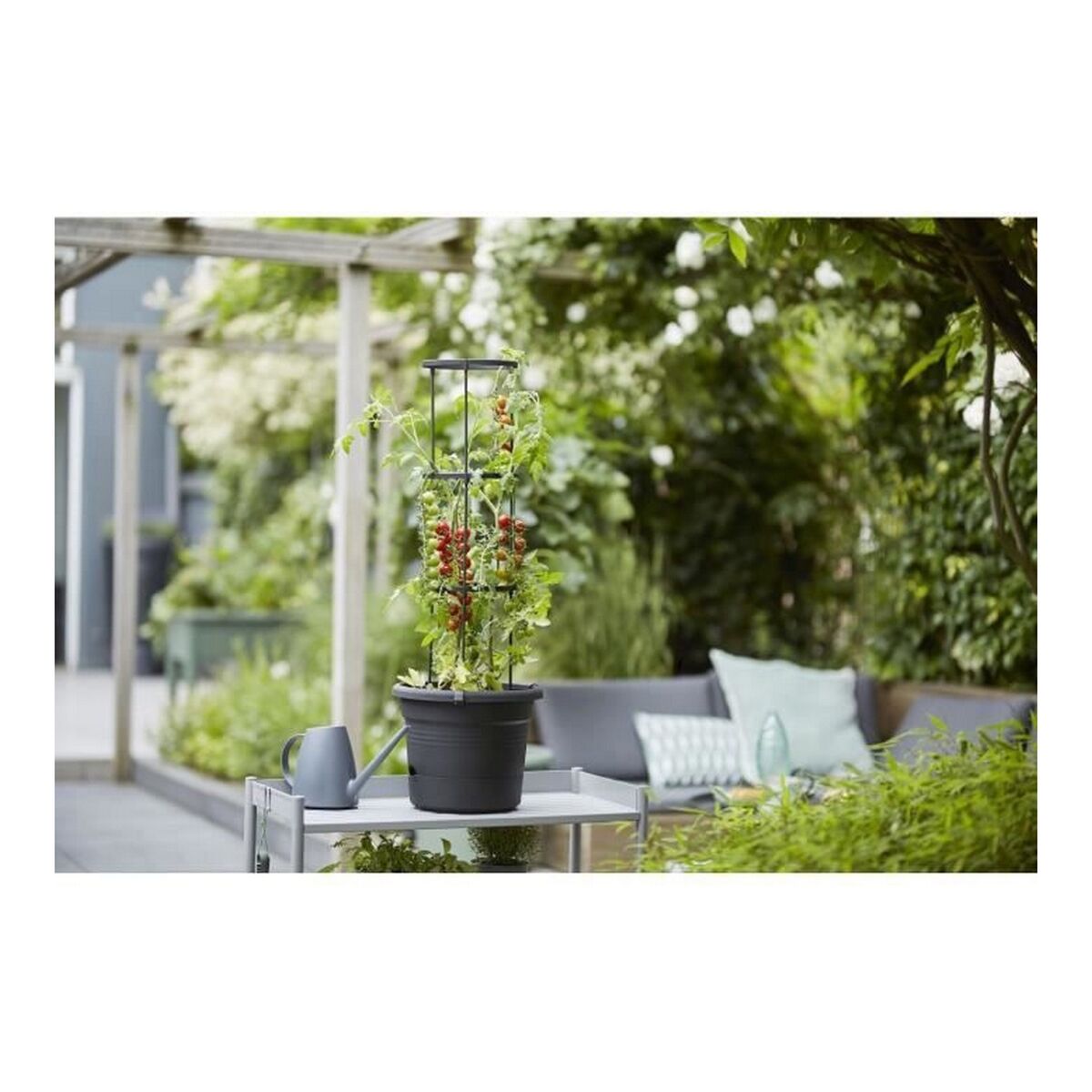 V12HB7088008FBDD77DA7322A2A3E648E87DR4176491P5