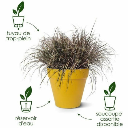 V2H890DAACAF6E138861C82DE9196CCB6EBR6746342P6