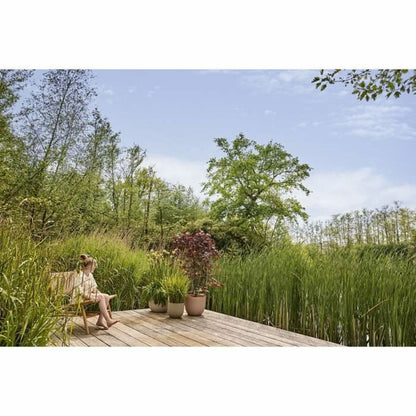 V3H1E545A3C82DFBDF25B4A266747999CE3R5529073P5