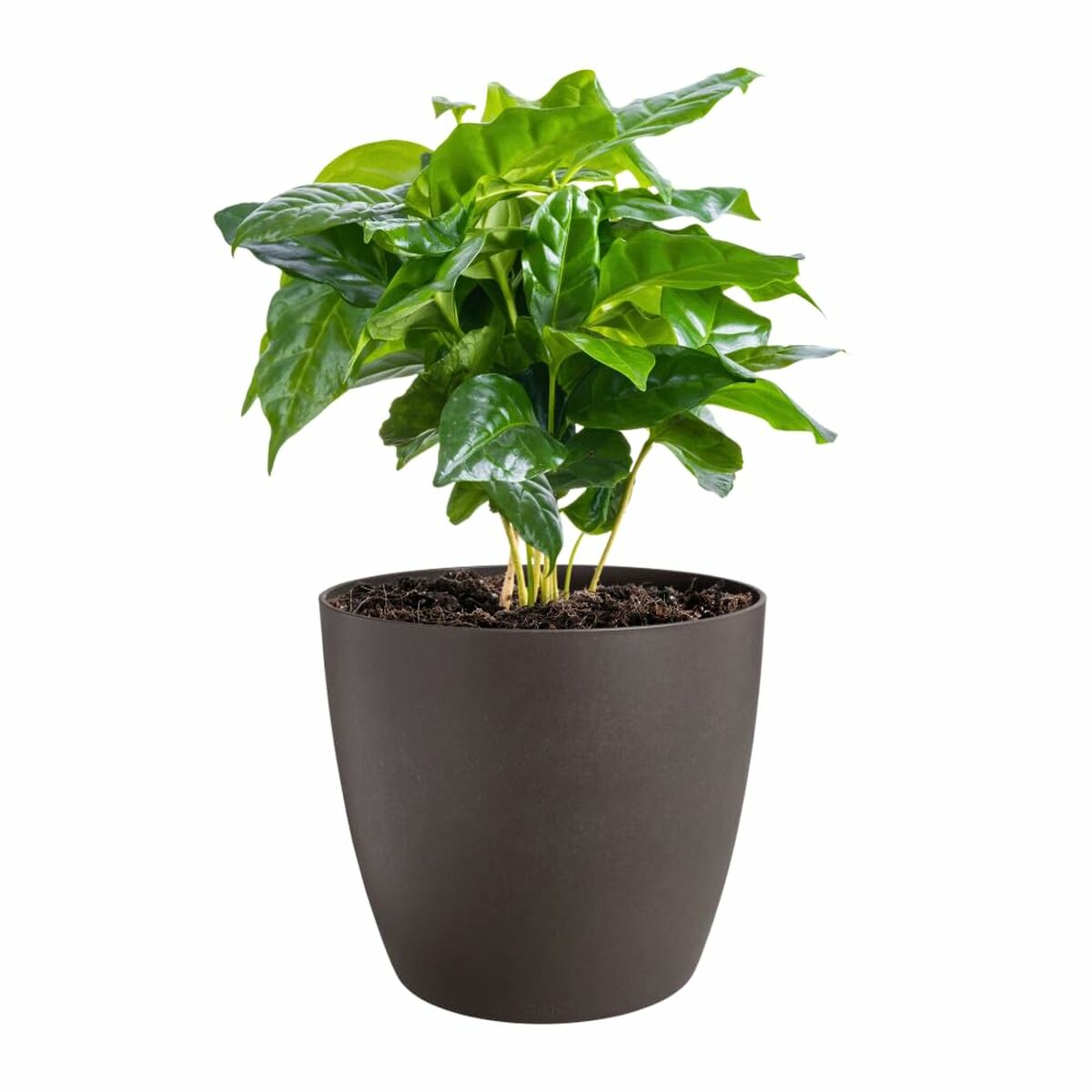 V4H9C8A8D964C77D0BA4B1F0F6C35FB4690R6746273P3