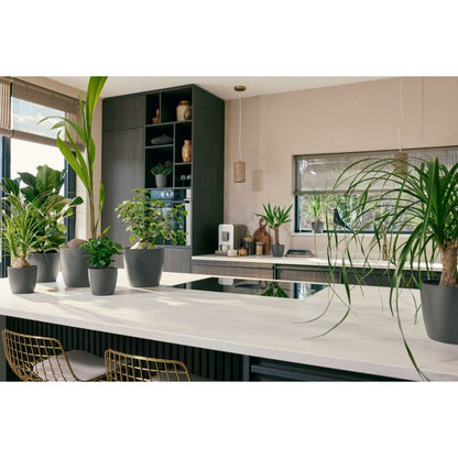 V4HCCA33E3EC9BAB3305DEC752CF60419E4R6746280P6