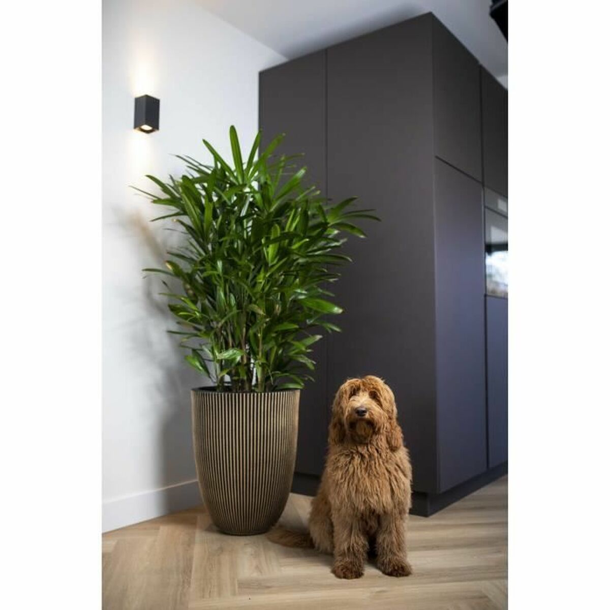 V5H276A9BD99D39DB06DFEB945BC0216466R7057445P3