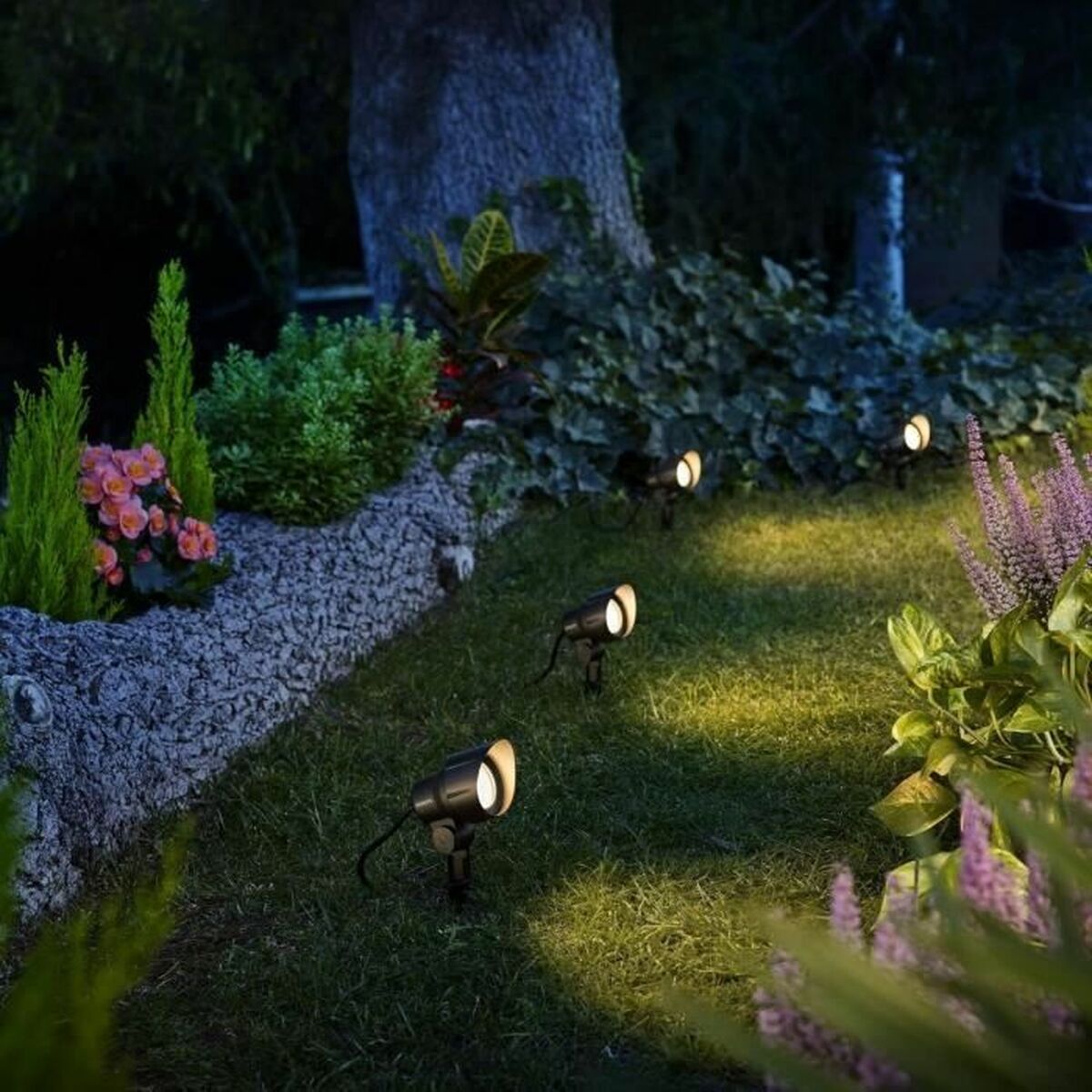 V4HE78CFB6E2386585568FF63A1BA520515R4269056P3