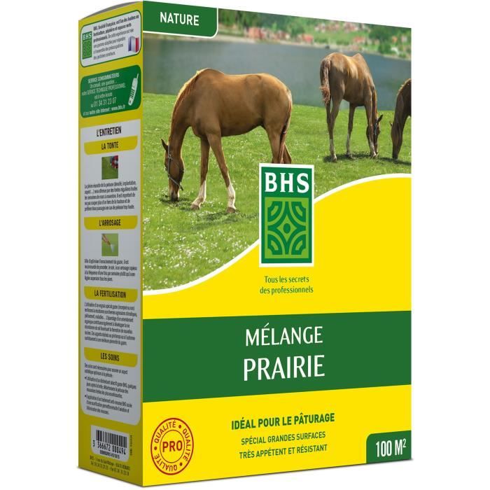 Lawn - BHS - Meadow Mix 1kg | 40m² | For extensive areas and pastures | Quick to install, durable, maintenance-free.