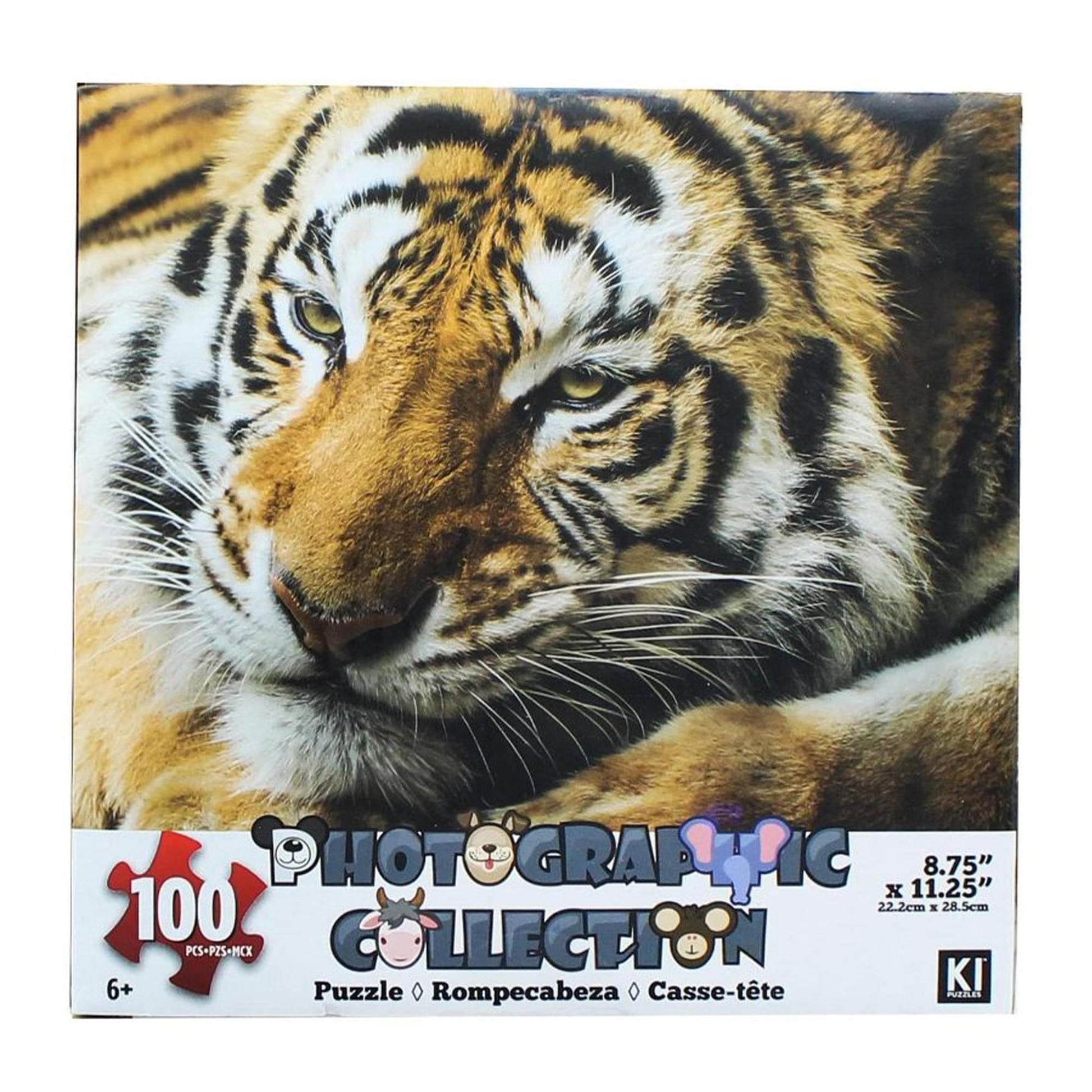 Tiger 100 Piece Photographic Collection Jigsaw Puzzle