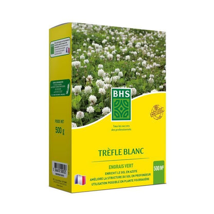 White Clover - BHS - 500 m² | Promotes biodiversity, adapts to all soil types and resists trampling.