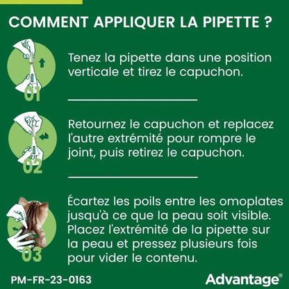 Advantage antipuce rabbit chat solution 1 to 4kg 6 pipettes