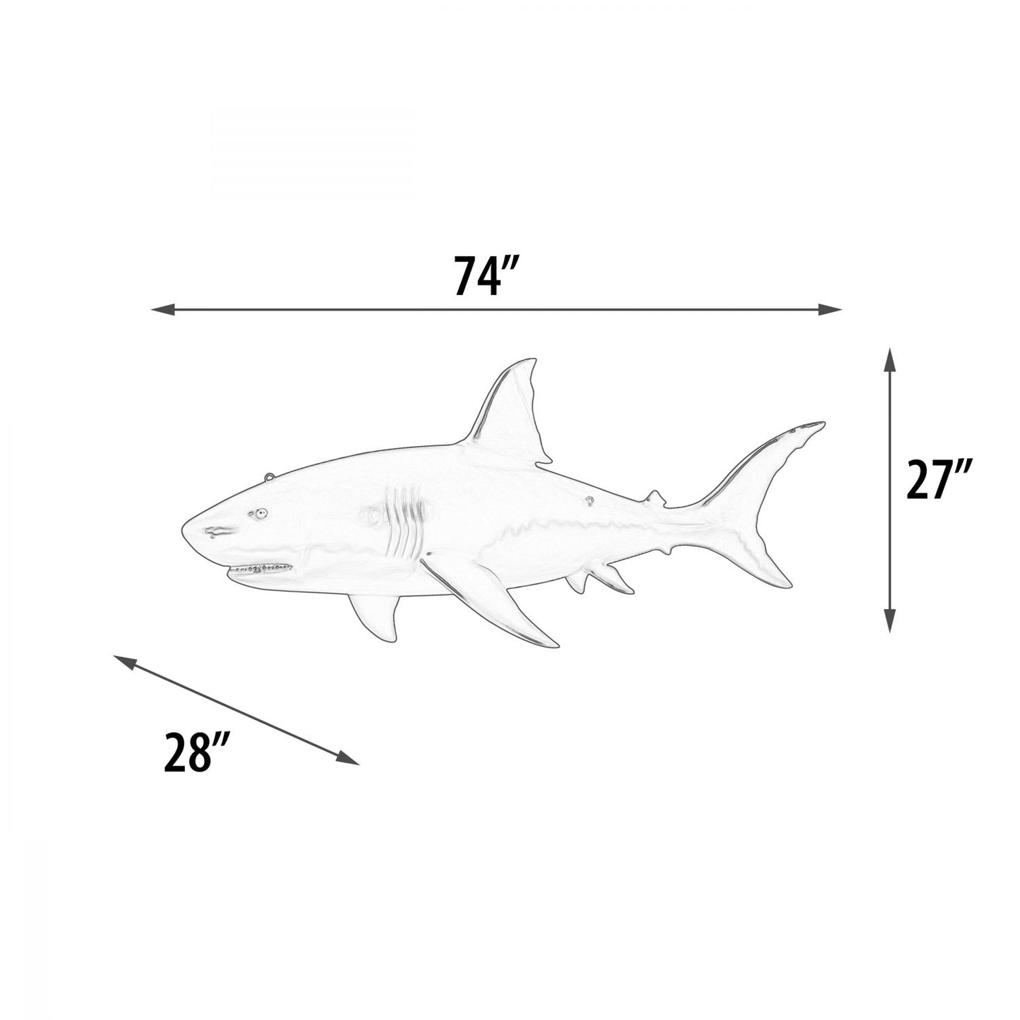 Great White Shark 6ft