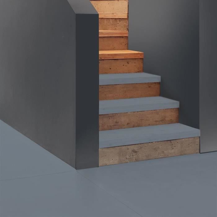 RIPOLIN Interior & Exterior Floor Paint - Loft Gray Ral 7046 Satin, 2,5L