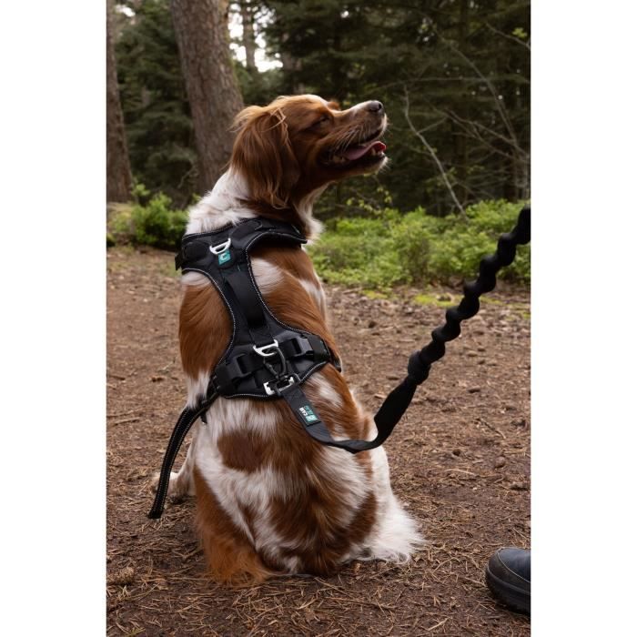 Dog harness - SYMBIOZ - XS - Black / Blue
