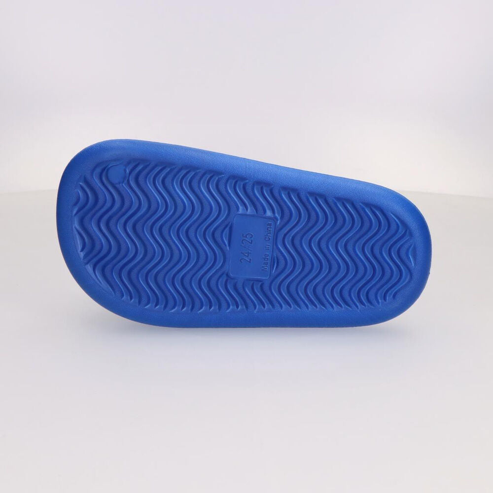 Sonic the Hedgehog flip-flops