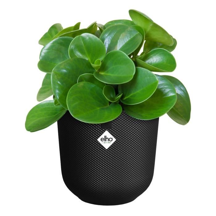 Flower pot - Elho - Jazz Round - Black - Ø 26 x H 24 cm - Indoor - 100% recycled
