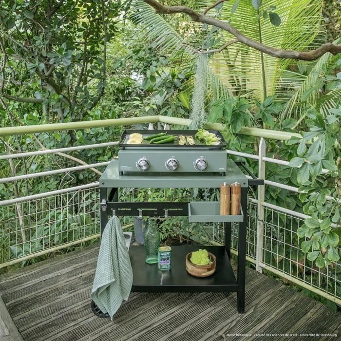 Plancha trolley - LIVOO - GS167V - Green / Black