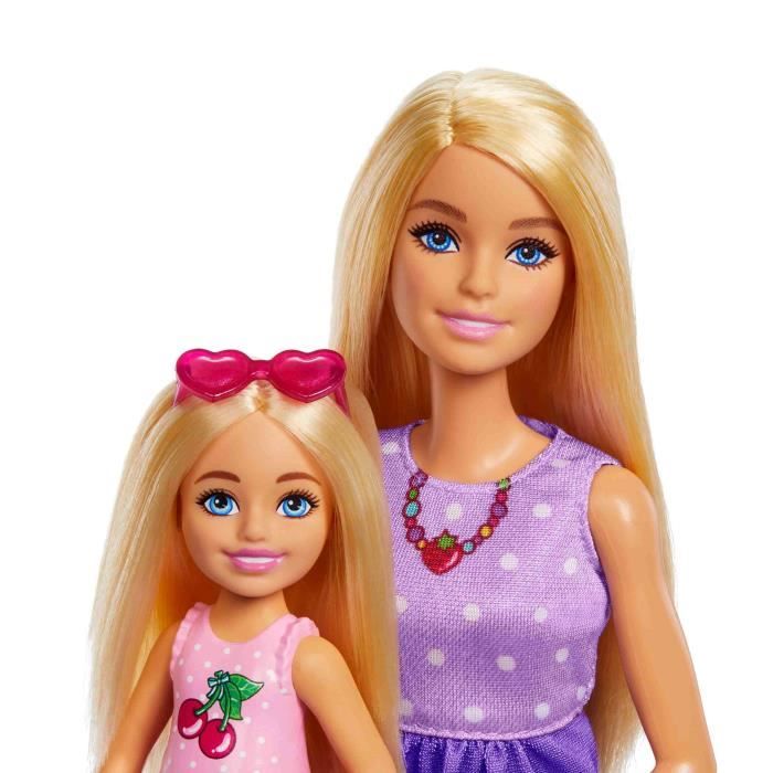 BARBIE AND CHELSEA BOX SET